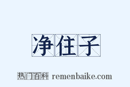 净住子是什么意思的图片